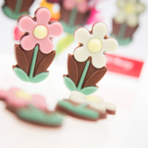 chocolate daisy