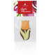Little flower Tulip Solo - Chocolate tulip