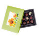 ChocoPostcard - Midi - Green