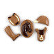 Chocolate Horse Set