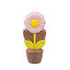 Daisy Pink - Chocolate flower