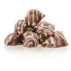 Strawberries in chocolate