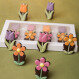 6 Little Flowers - 6 chocolate flowers