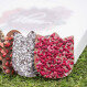 Bloom Chocolate Flowers 6