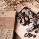 Extreme Midi - Chocolate bar - Coffee