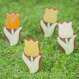 Little flower Tulip Solo - Chocolate tulip