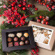 Postcard Petit - Chocolates